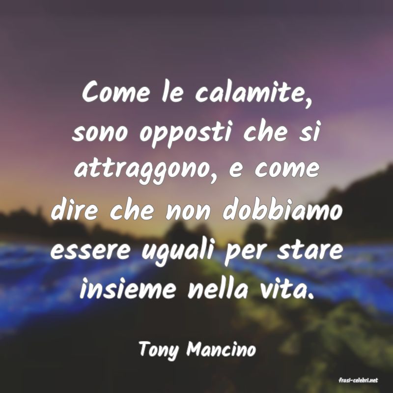 frasi di Tony Mancino