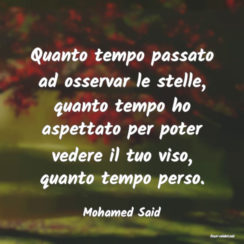 frasi di  Mohamed Said
