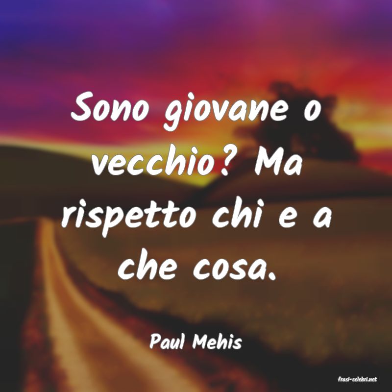 frasi di  Paul Mehis

