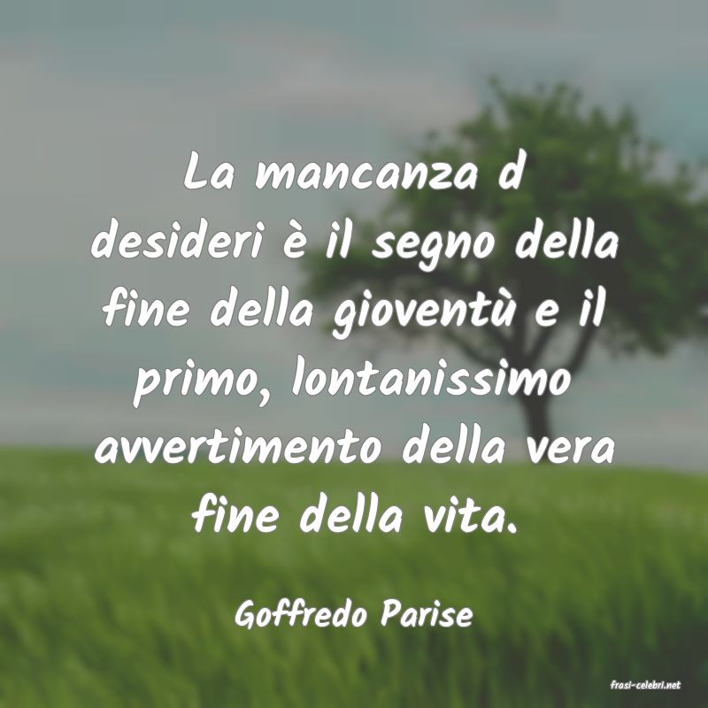frasi di  Goffredo Parise
