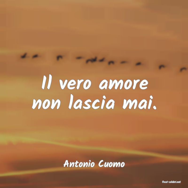 frasi di  Antonio Cuomo
