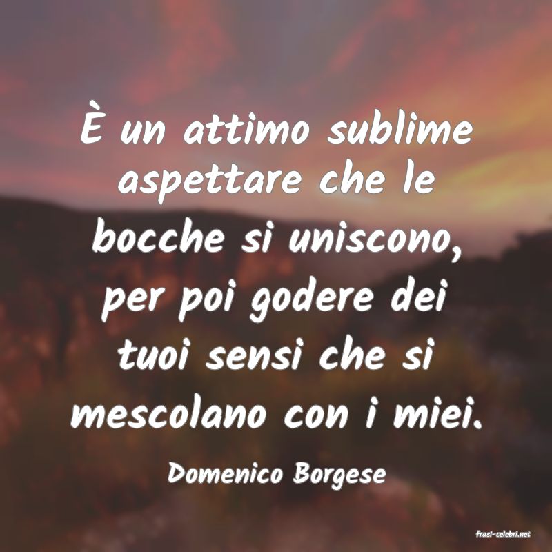 frasi di  Domenico Borgese

