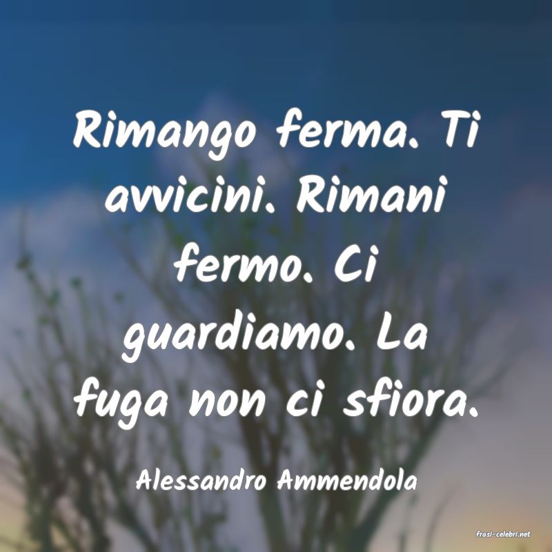 frasi di  Alessandro Ammendola
