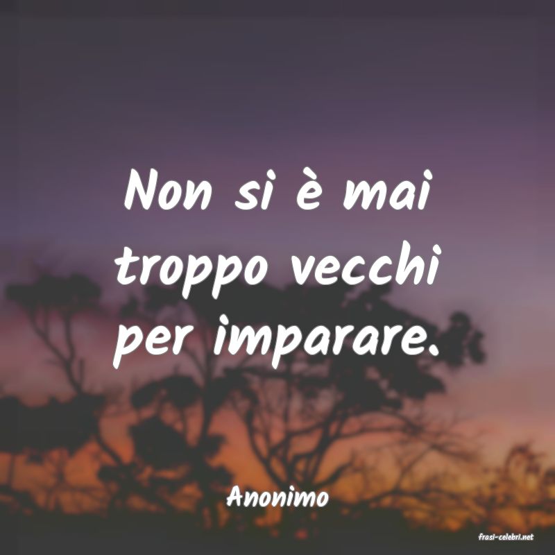 frasi di Anonimo