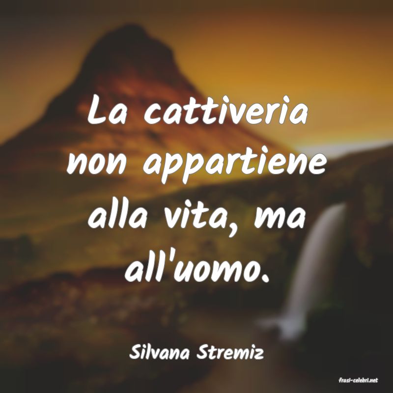 frasi di Silvana Stremiz