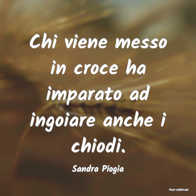 frasi di  Sandra Piogia
