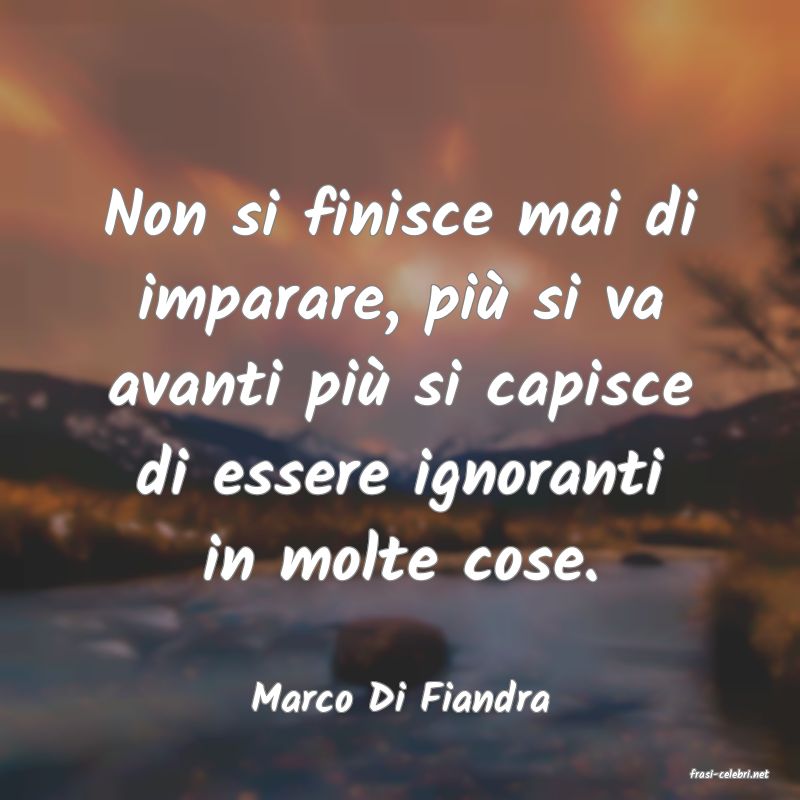 frasi di  Marco Di Fiandra
