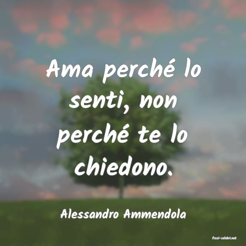 frasi di  Alessandro Ammendola
