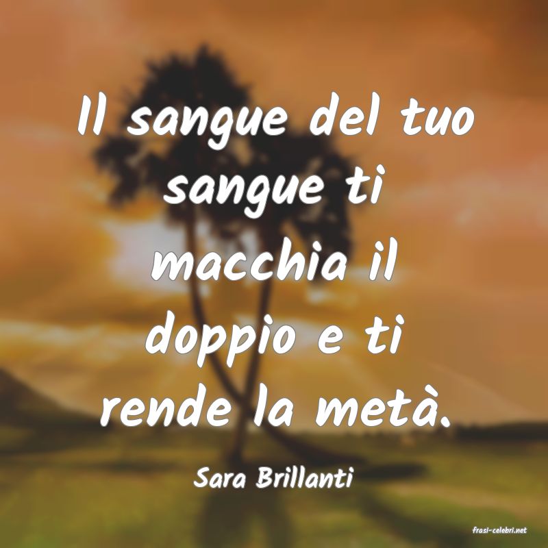frasi di  Sara Brillanti
