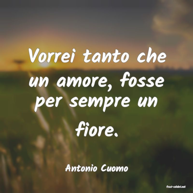 frasi di  Antonio Cuomo
