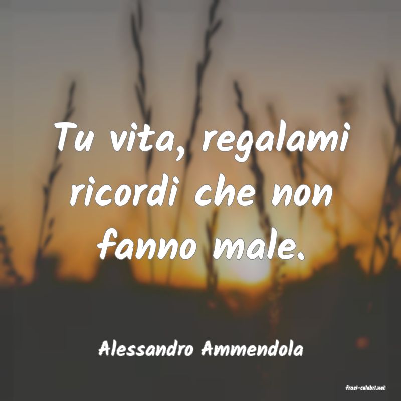 frasi di  Alessandro Ammendola
