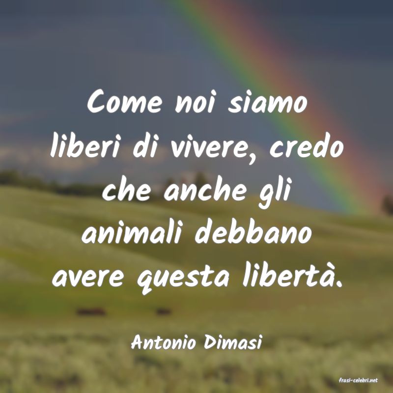frasi di  Antonio Dimasi
