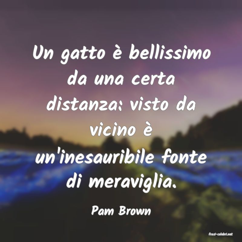 frasi di  Pam Brown

