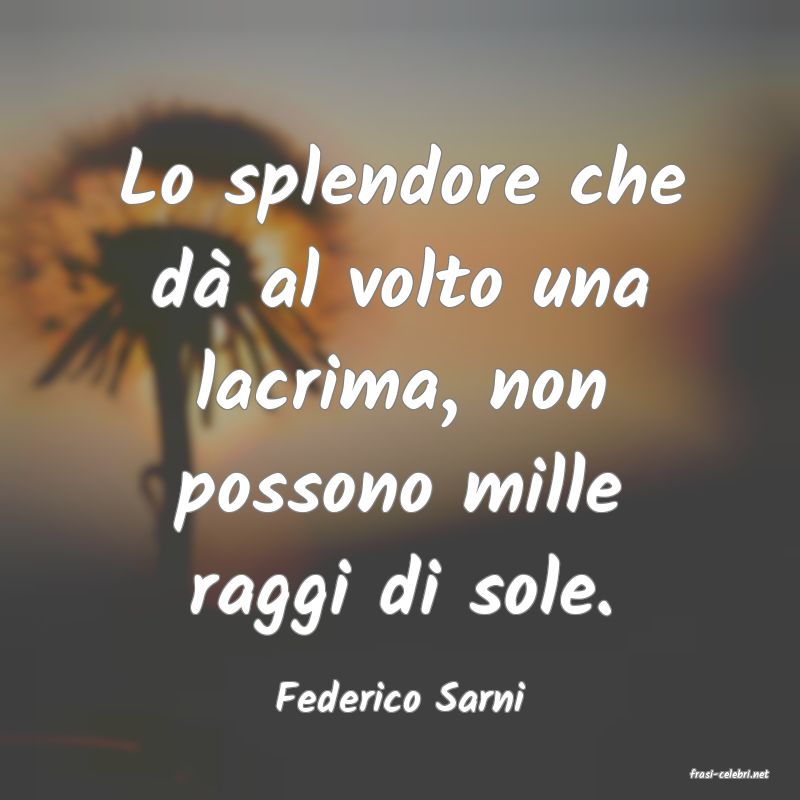 frasi di  Federico Sarni
