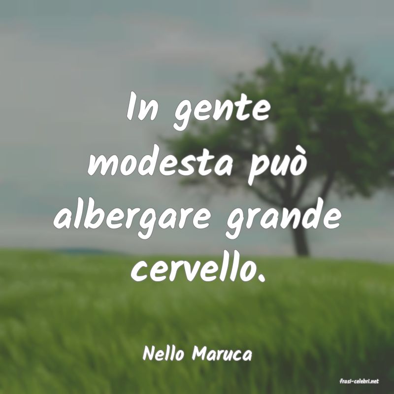 frasi di Nello Maruca