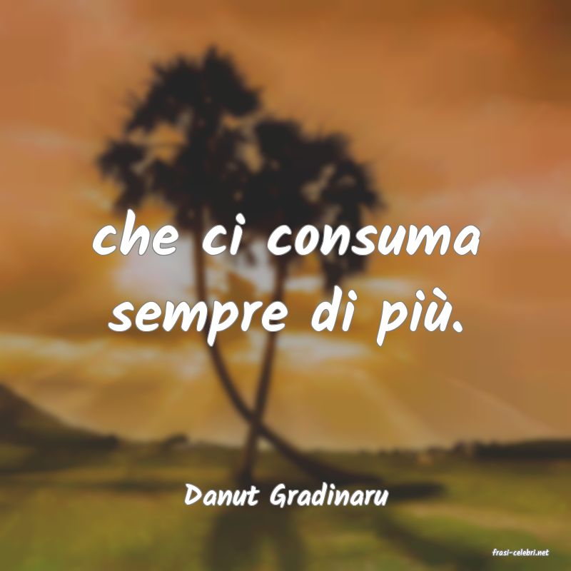 frasi di  Danut Gradinaru
