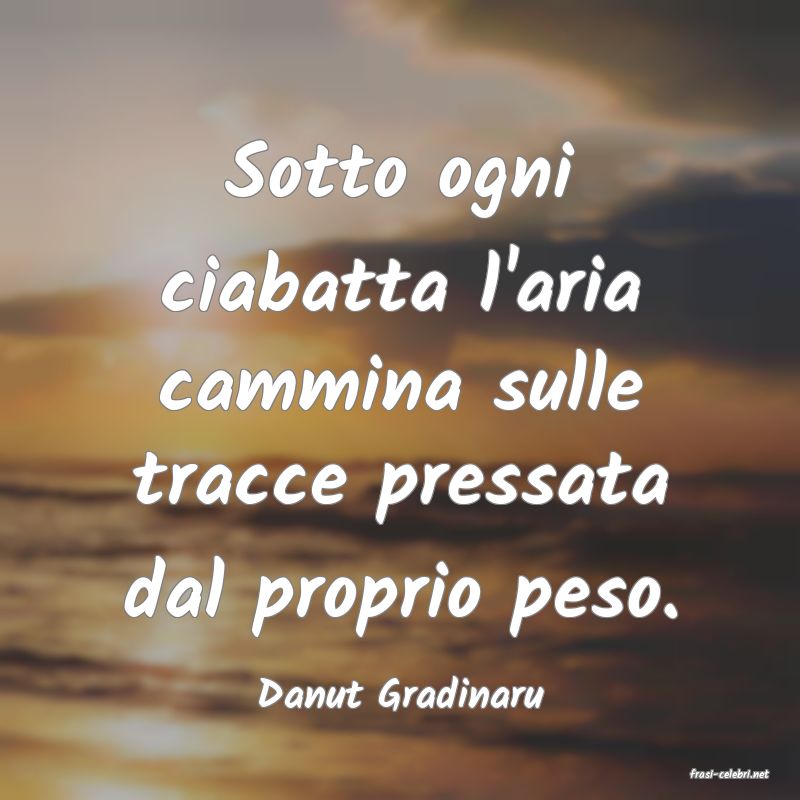 frasi di  Danut Gradinaru
