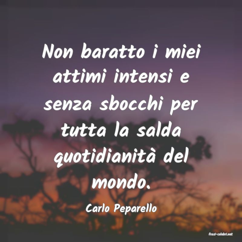 frasi di  Carlo Peparello
