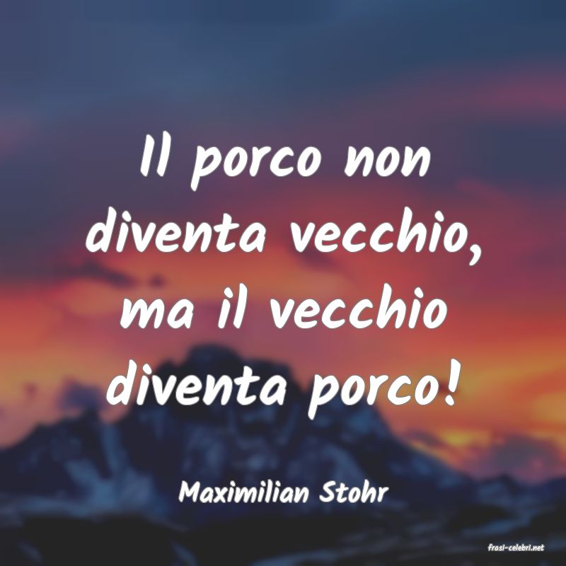 frasi di  Maximilian Stohr
