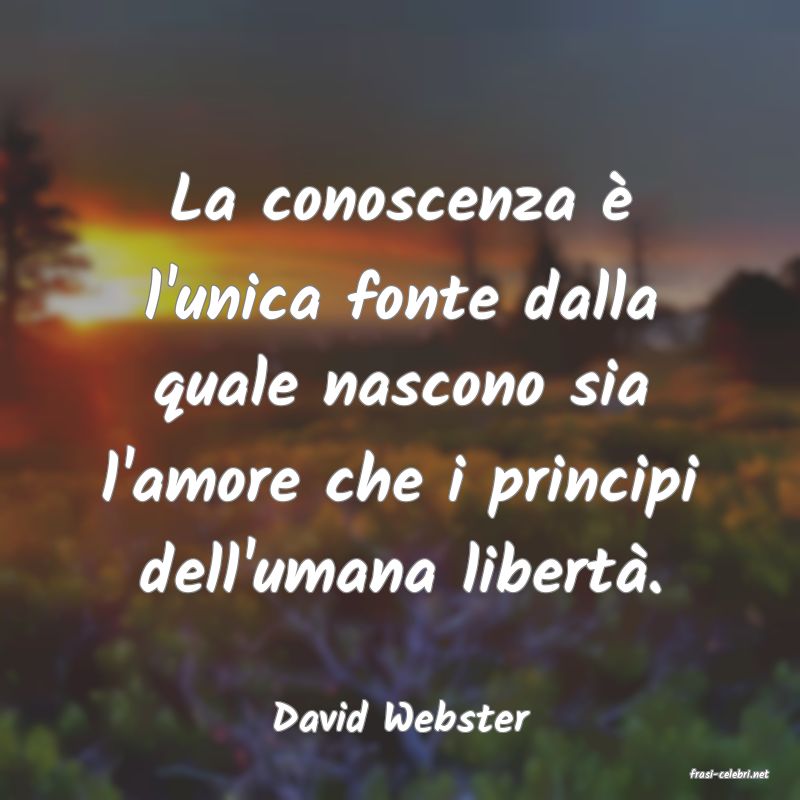 frasi di David Webster