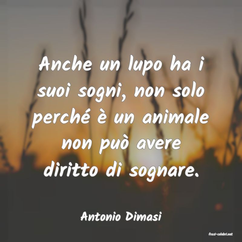 frasi di Antonio Dimasi