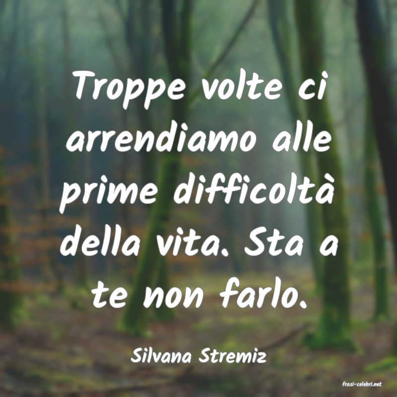 frasi di Silvana Stremiz