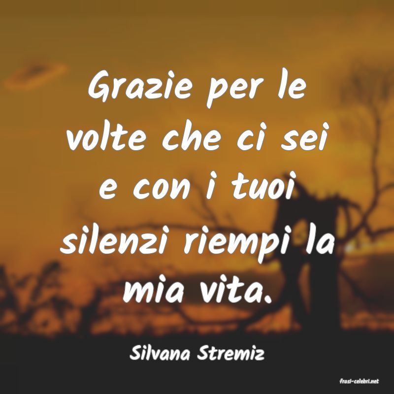 frasi di Silvana Stremiz