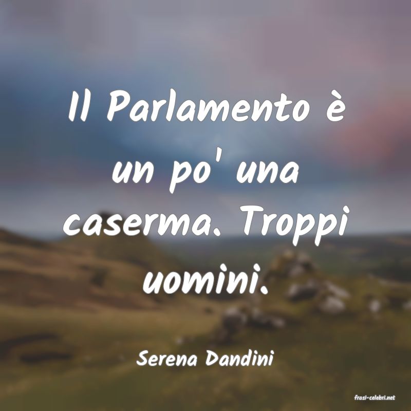frasi di  Serena Dandini
