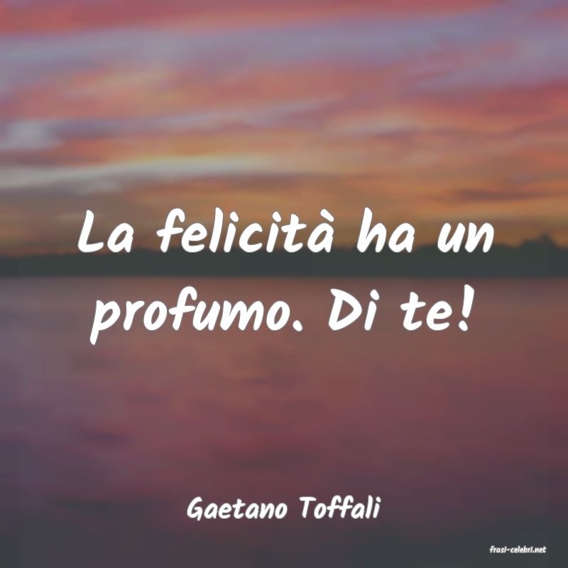frasi di Gaetano Toffali