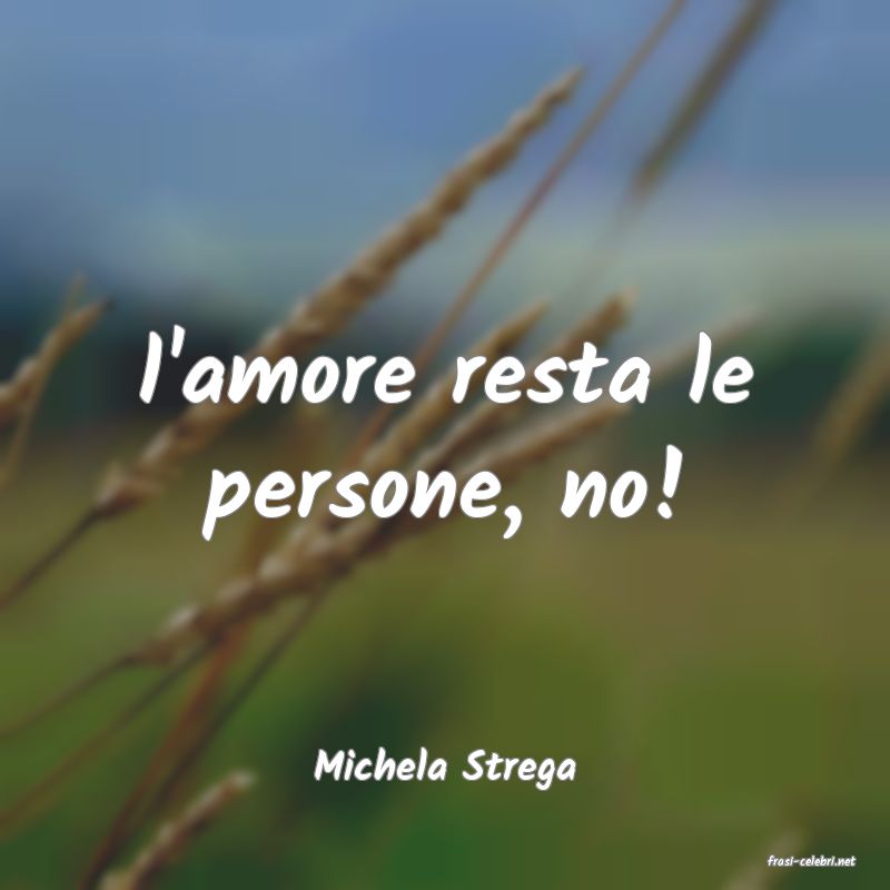 frasi di  Michela Strega
