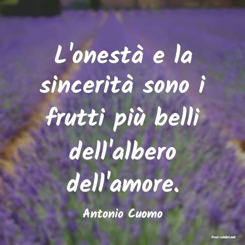 frasi di  Antonio Cuomo
