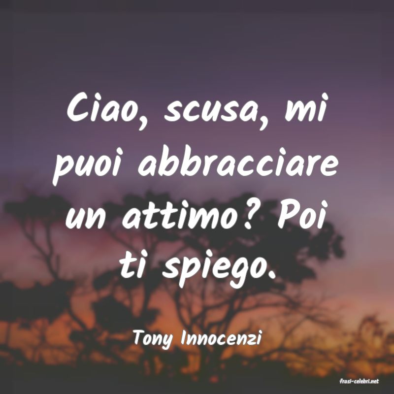 frasi di  Tony Innocenzi

