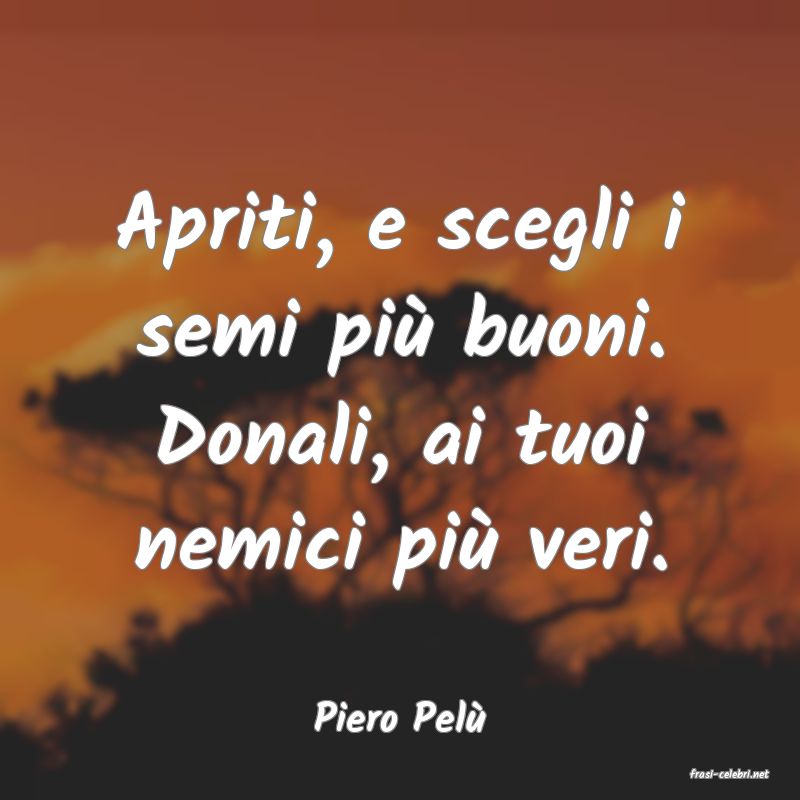 frasi di Piero Pel�