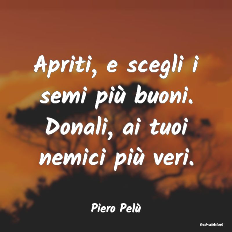 frasi di Piero Pel