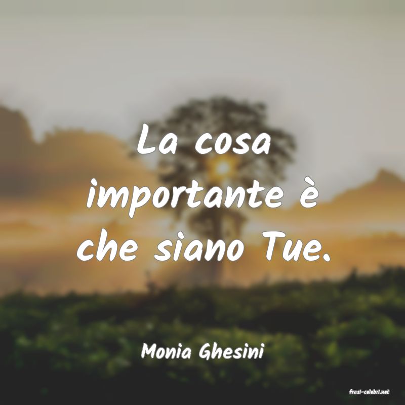 frasi di  Monia Ghesini
