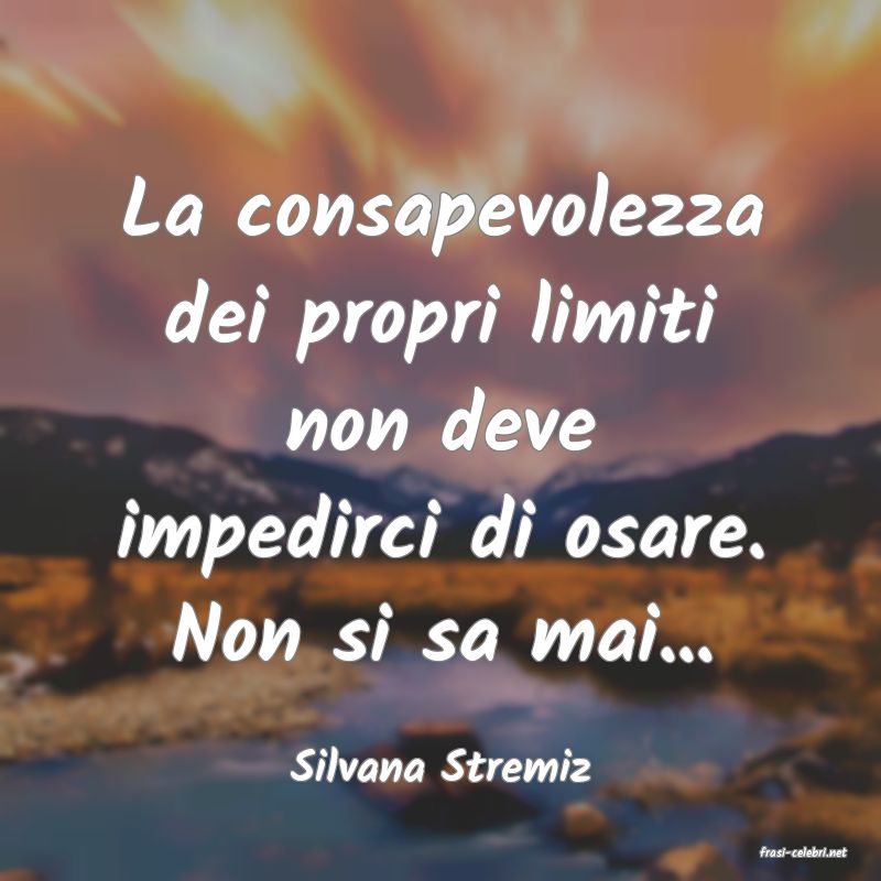 frasi di  Silvana Stremiz

