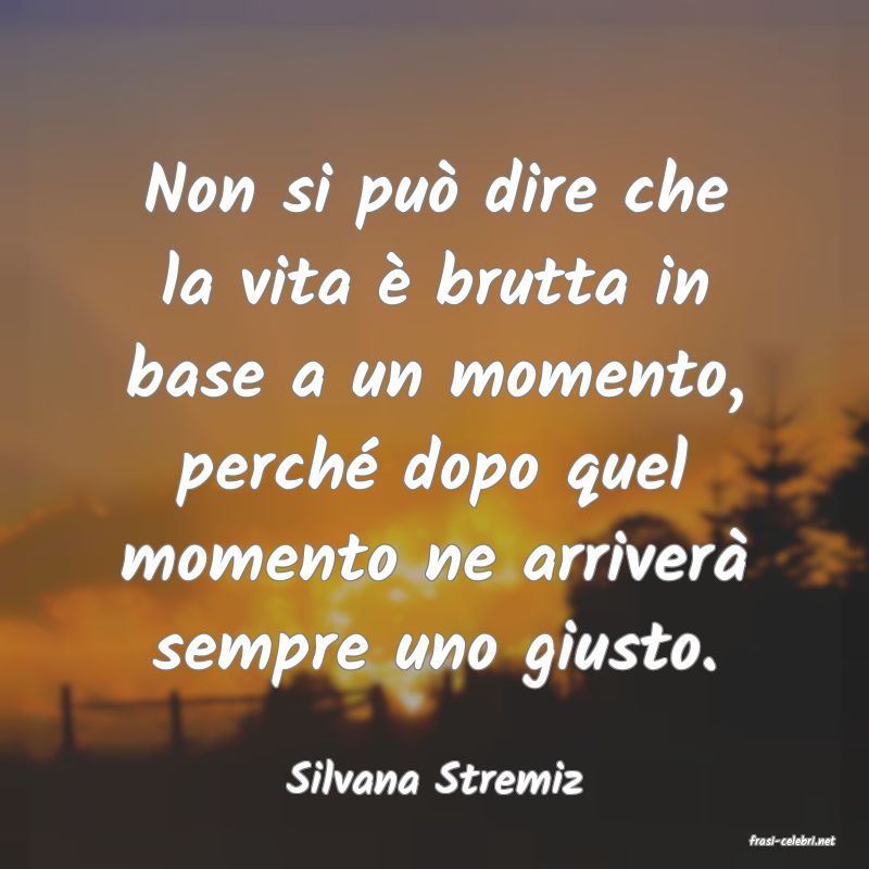 frasi di Silvana Stremiz