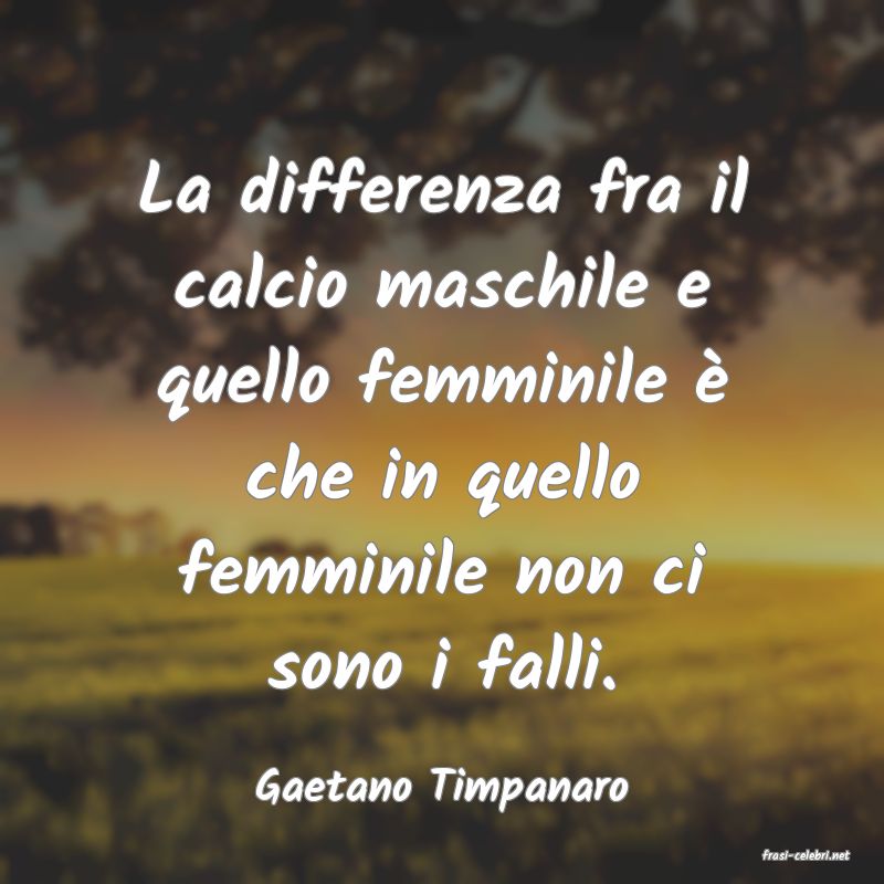 frasi di Gaetano Timpanaro