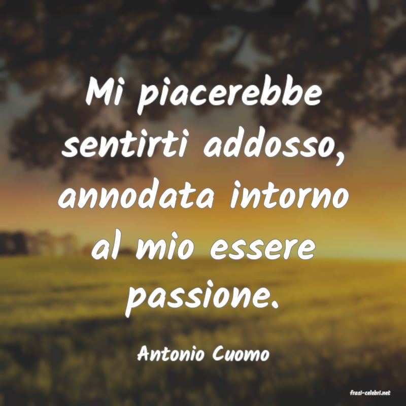 frasi di  Antonio Cuomo
