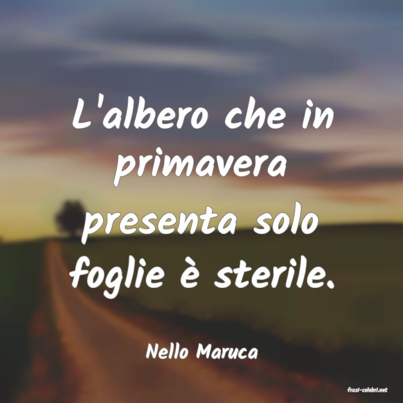 frasi di  Nello Maruca
