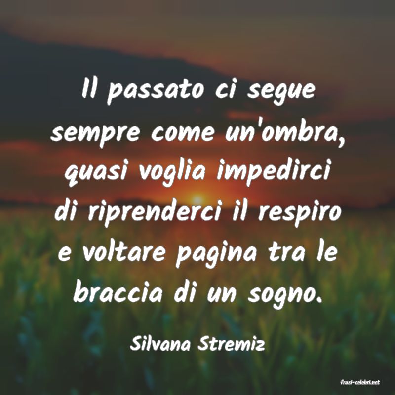 frasi di  Silvana Stremiz
