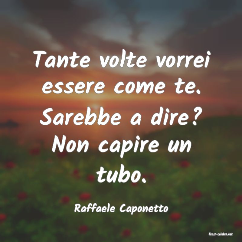 frasi di  Raffaele Caponetto
