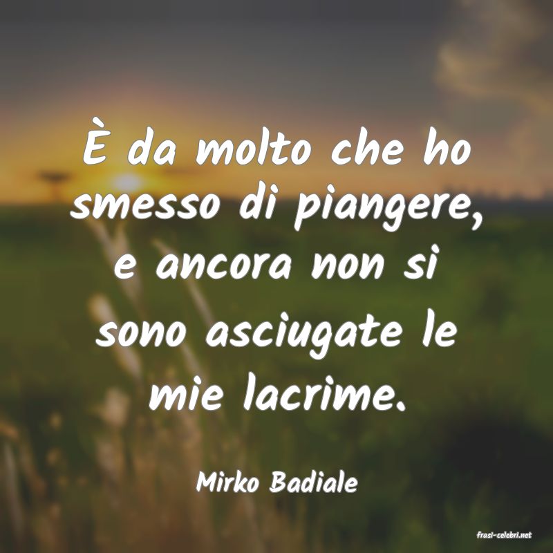 frasi di  Mirko Badiale

