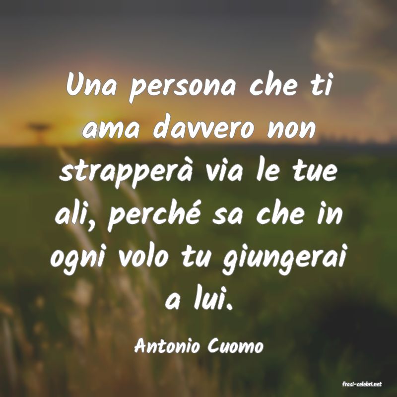 frasi di  Antonio Cuomo
