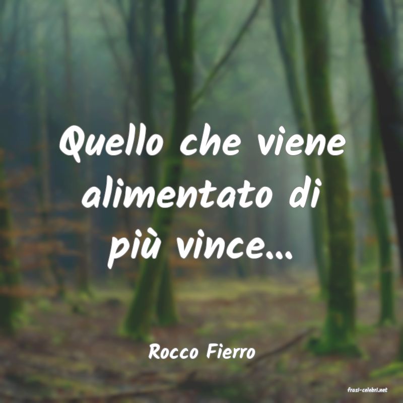 frasi di  Rocco Fierro
