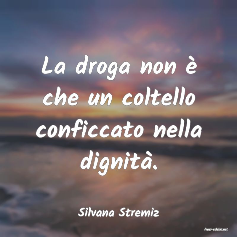 frasi di Silvana Stremiz