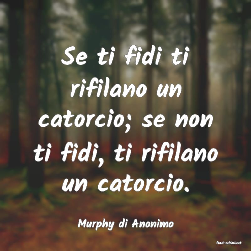 frasi di Murphy di Anonimo