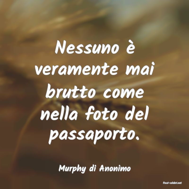 frasi di Murphy di Anonimo