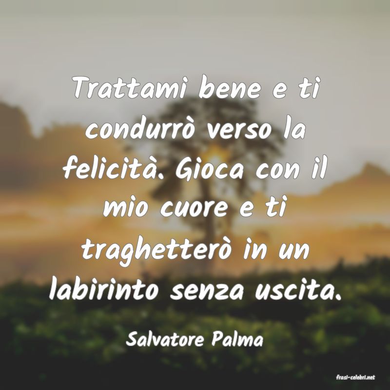 frasi di  Salvatore Palma
