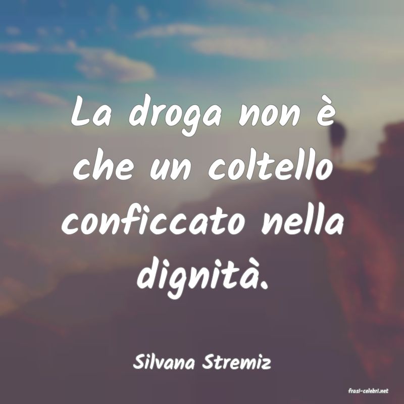 frasi di Silvana Stremiz